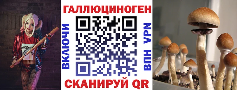 Псилоцибиновые грибы Magic Shrooms  hydra tor  Жигулёвск 
